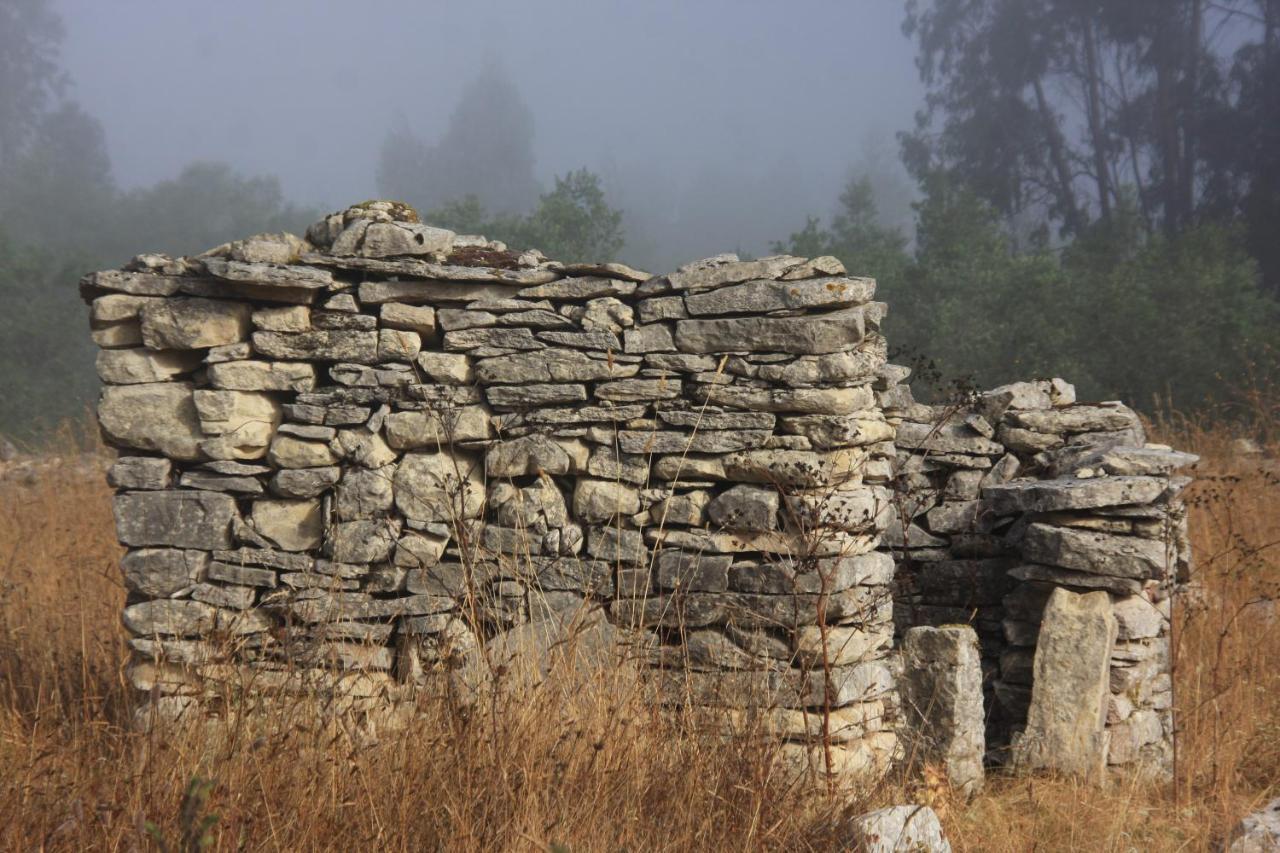 Villa Chanca  Penela Esterno foto